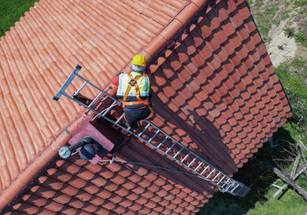 Best Roof Coating and Sealing  in Highland Park, MI