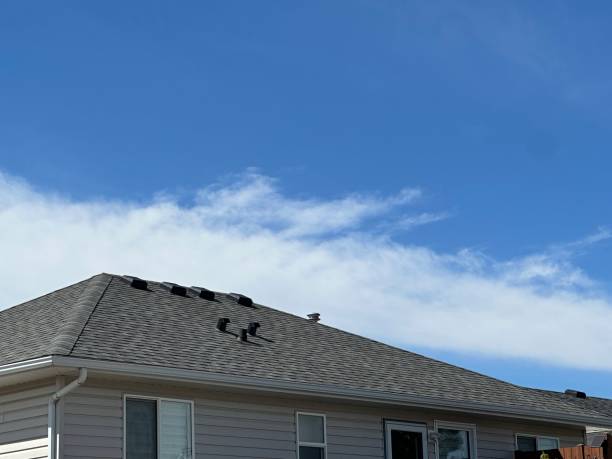Best Roofing for New Construction  in Highland Park, MI